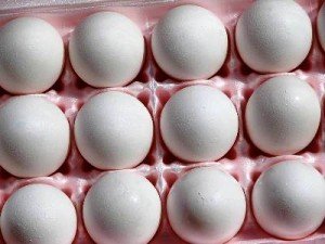 Food Storage Shelf Life Guidelines For The Refrigerator and Freezer